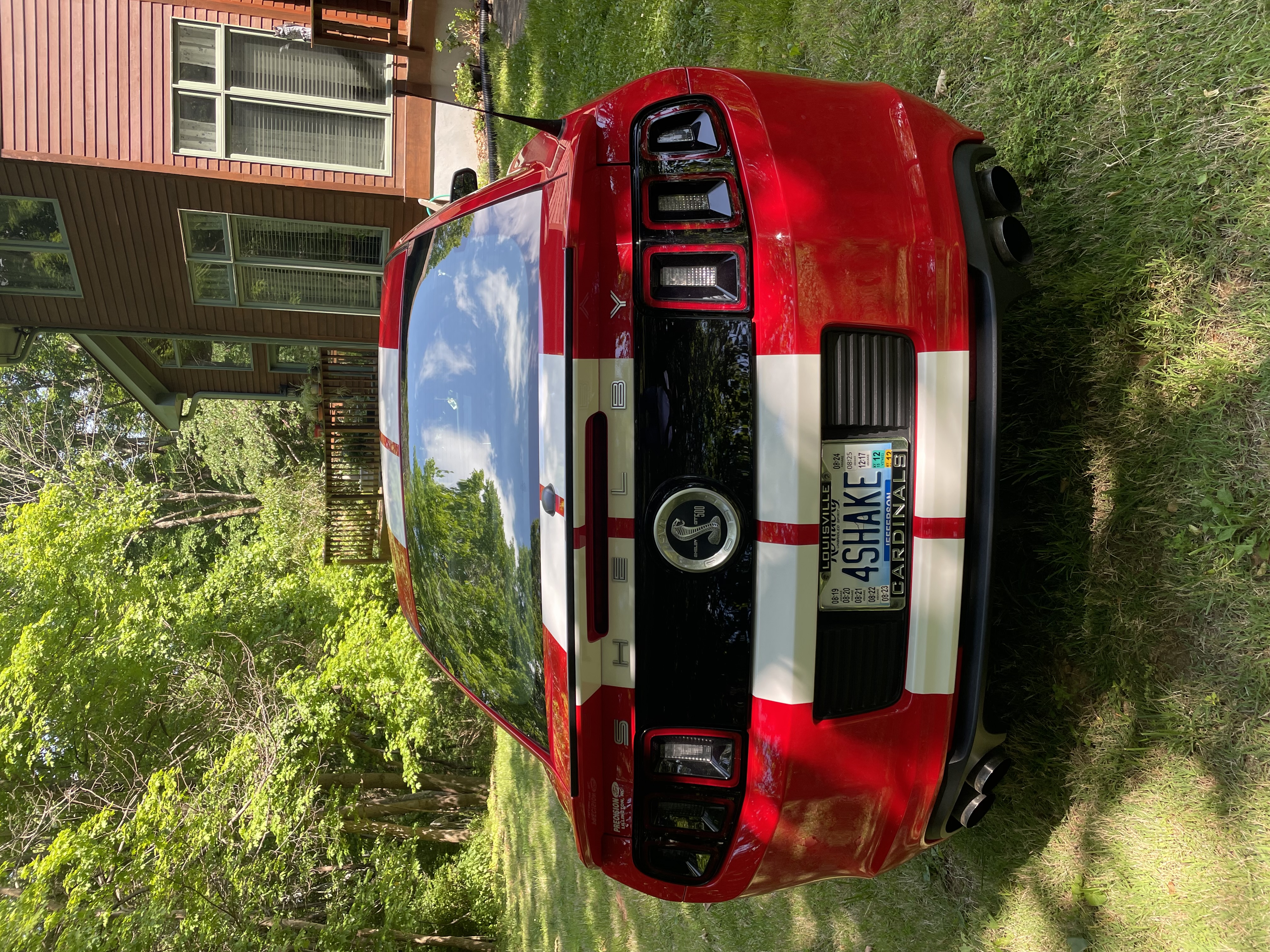Used 2013 Ford Mustang Shelby GT500