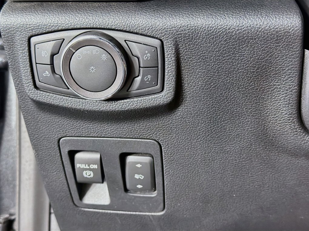 Used 2019 Ford F-150 Truck