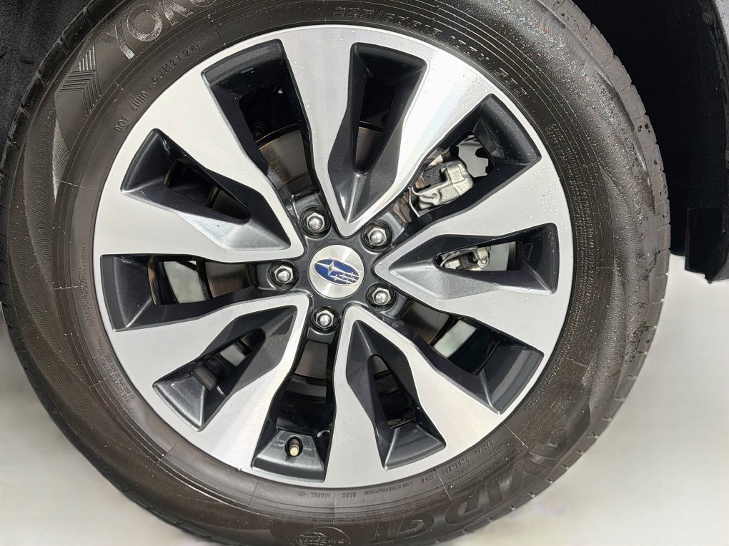 Used 2025 Subaru Outback SUV