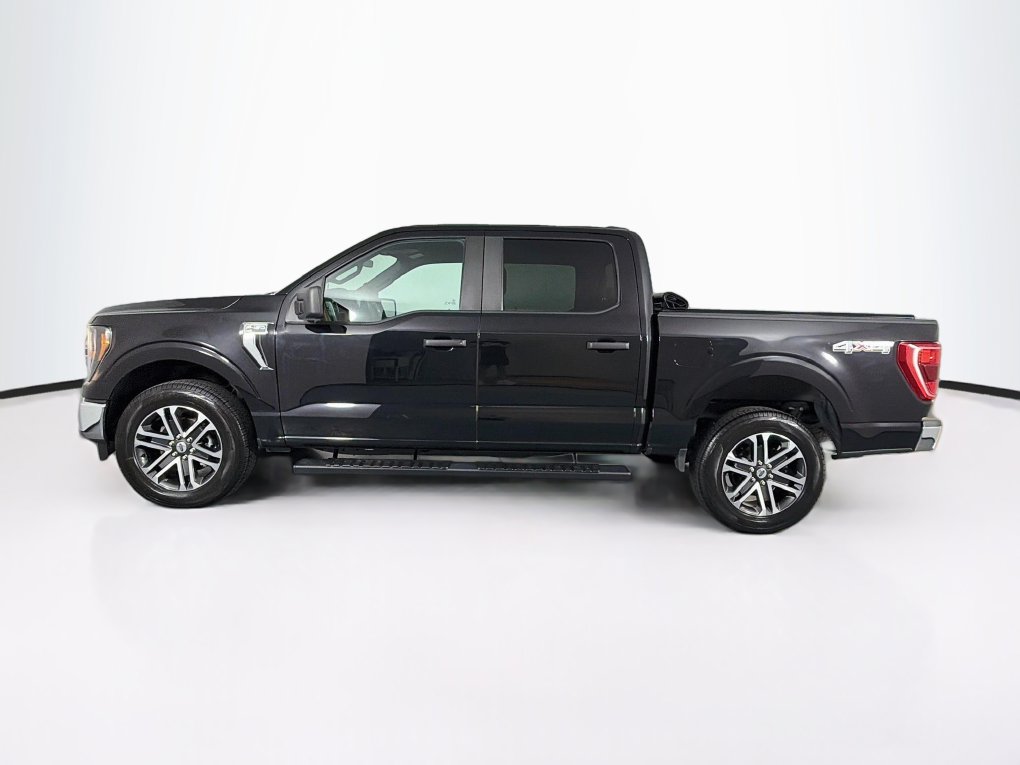Used 2023 Ford F-150 Truck