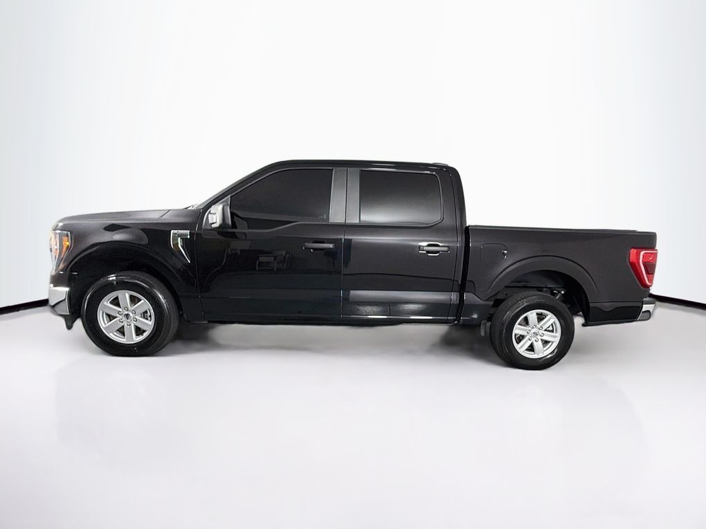 Used 2023 Ford F-150 Truck