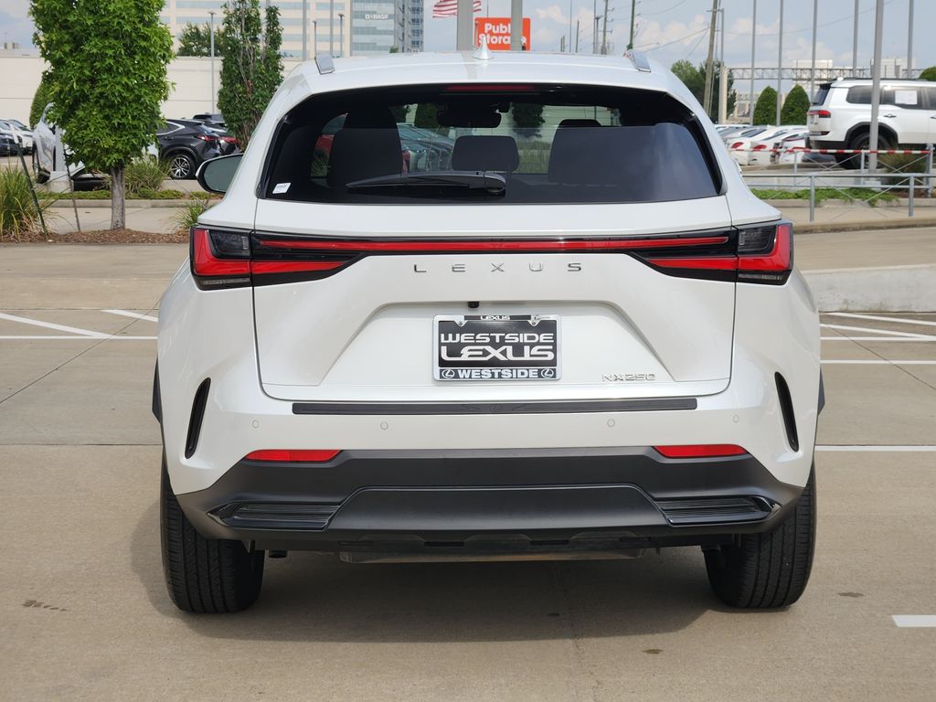 2024 Lexus NX 250 Premium White at Westside Lexus