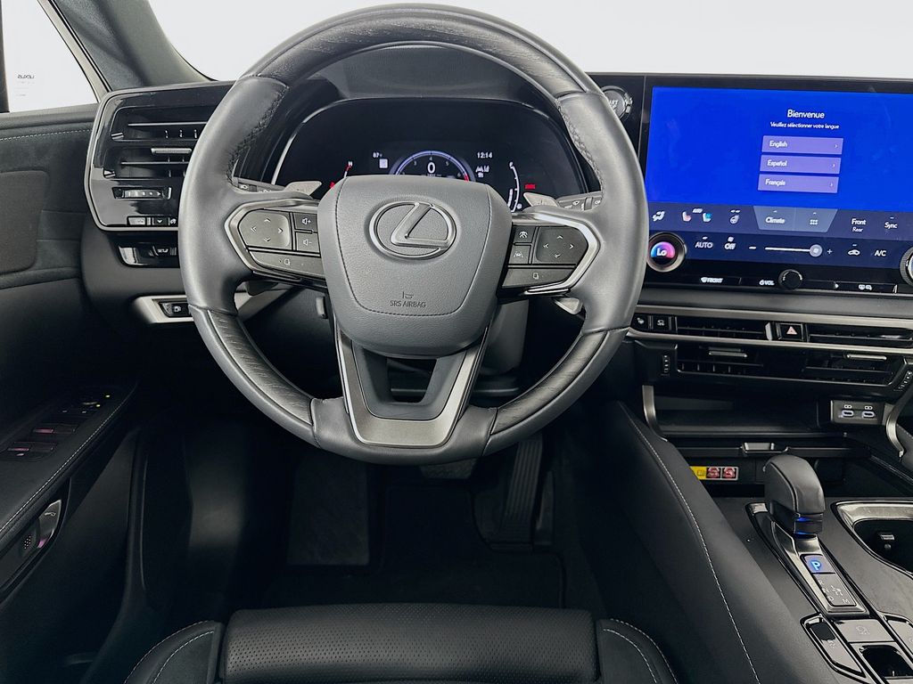 2024 Lexus RX 350 Luxury 23