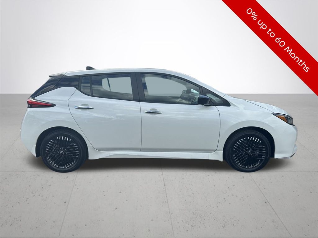 Leaf SV Plus