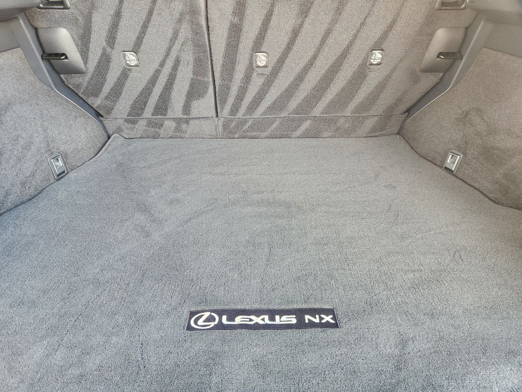 2024 Lexus NX 250 Premium Black at AutoSavvy Houston Northwest