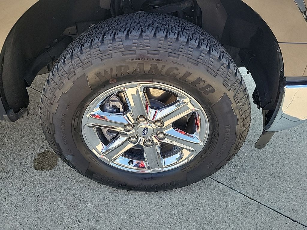 Used 2025 Ford F-150 Truck