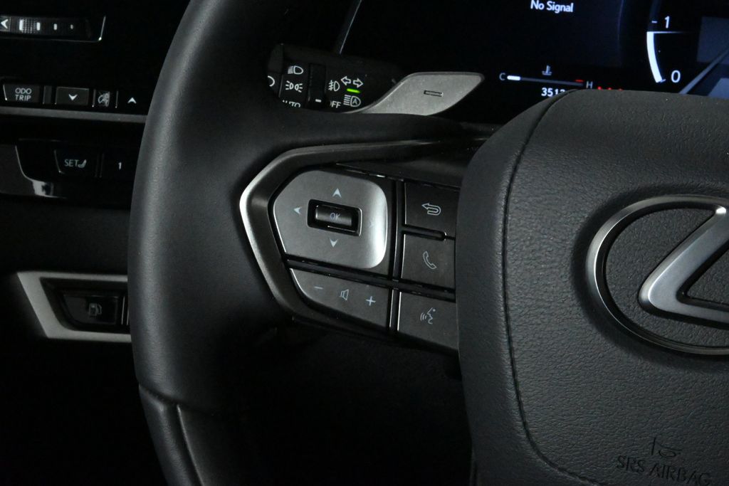 2025 Lexus RX 350 20
