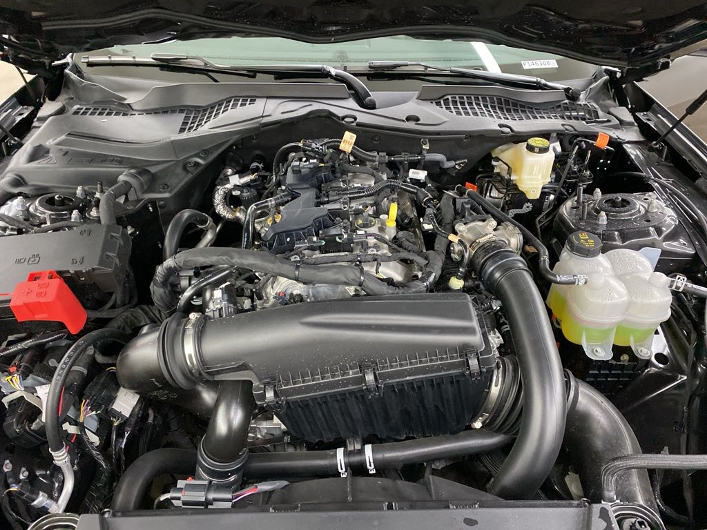 2024 Ford Mustang EcoBoost photo