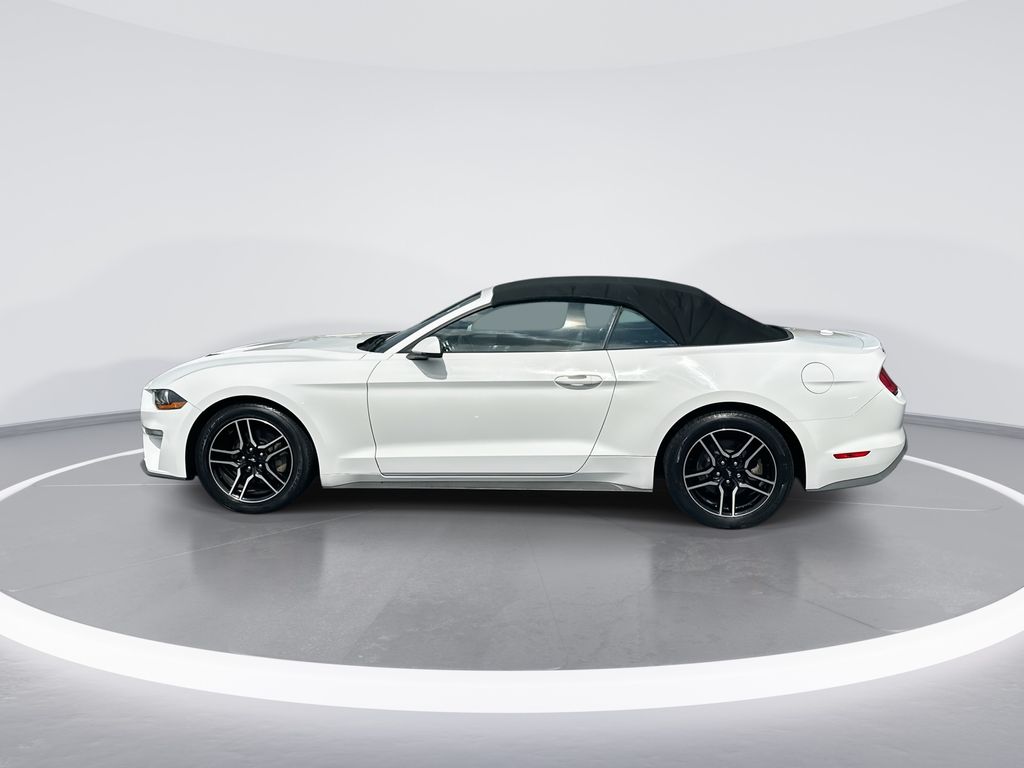 2019 Ford Mustang EcoBoost Premium - 4