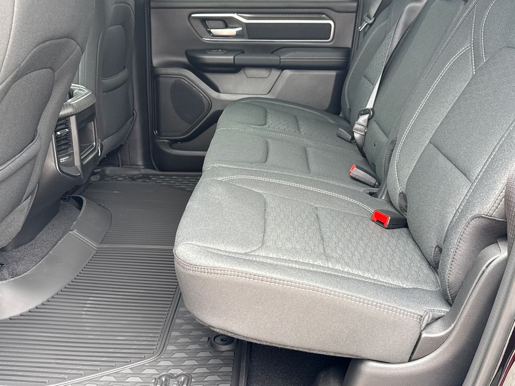 New 2026 Black Ram Big Horn/Lone Star image 20