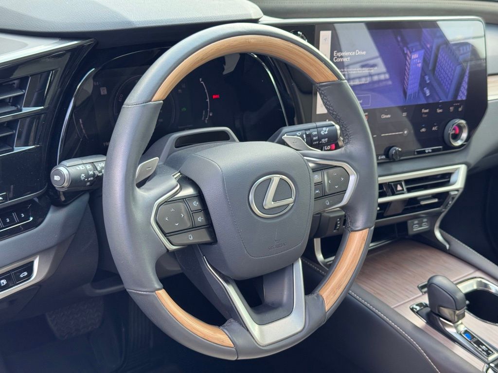 2024 Lexus RX 350 Luxury photo 15