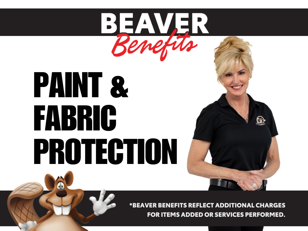 Used 2019 Honda CR-V SUV