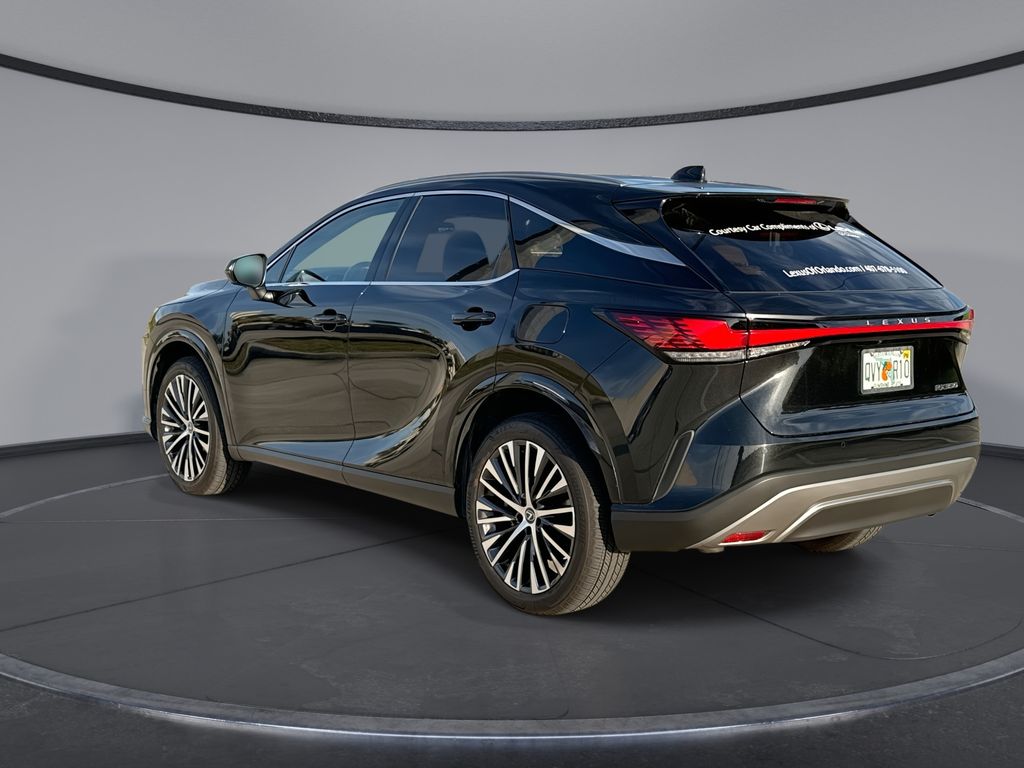 Thumbnail: 2025 Lexus RX - 10
