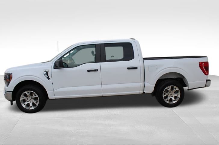 Used Car 2023 Ford F-150  Xl For Sale Under $35,000 In Georgetown, Texas