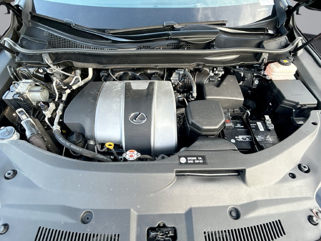 Thumbnail: 2022 Lexus RX - 18