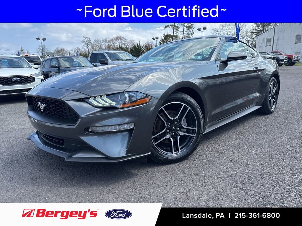 Gray (Magnetic Metallic) 2019 Ford Mustang EcoBoost Coupe RWD Coupe Rear-Wheel Drive Automatic
