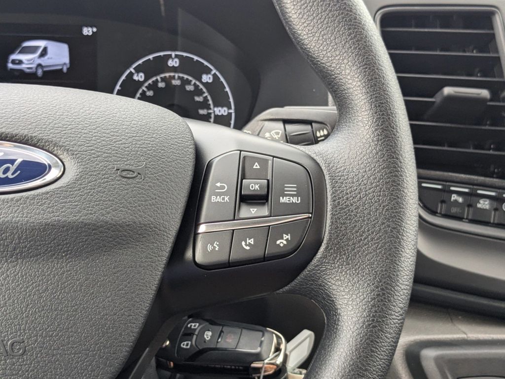 2025 Ford Transit 250