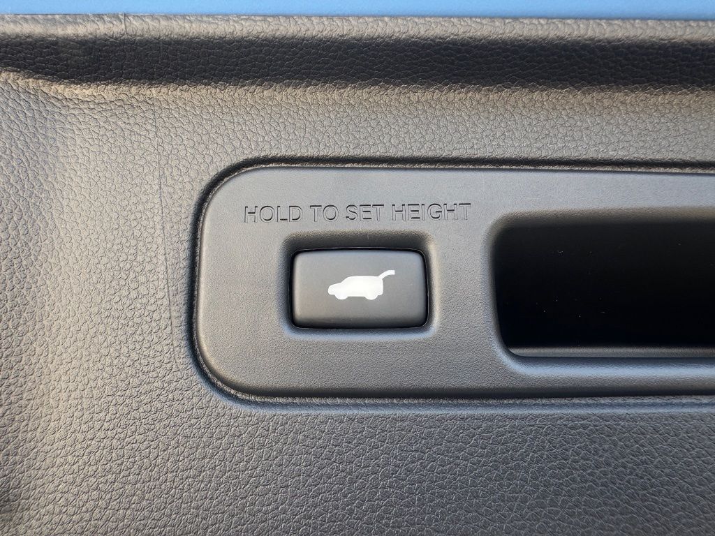 2024 Honda Pilot TrailSport Blue at AutoSavvy Houston Southwest