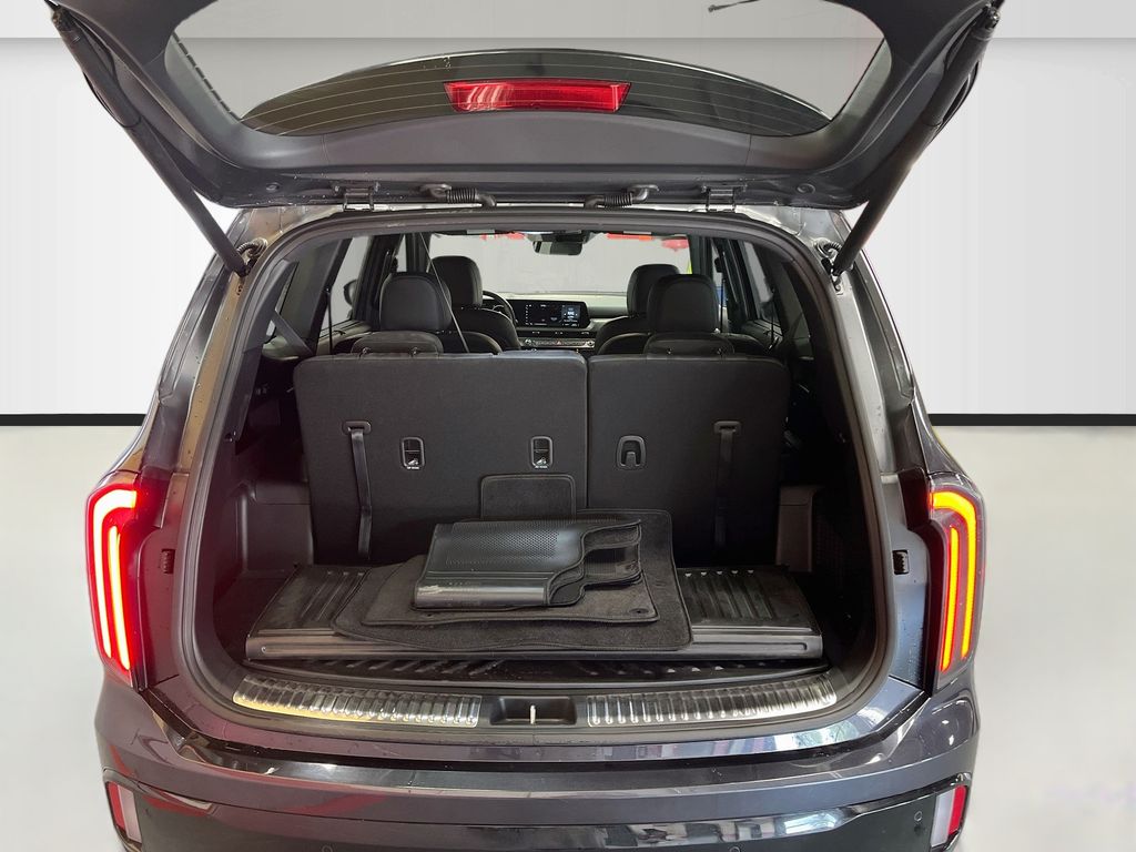 Used 2025 Panthera Metal Kia SX X-Line image 28