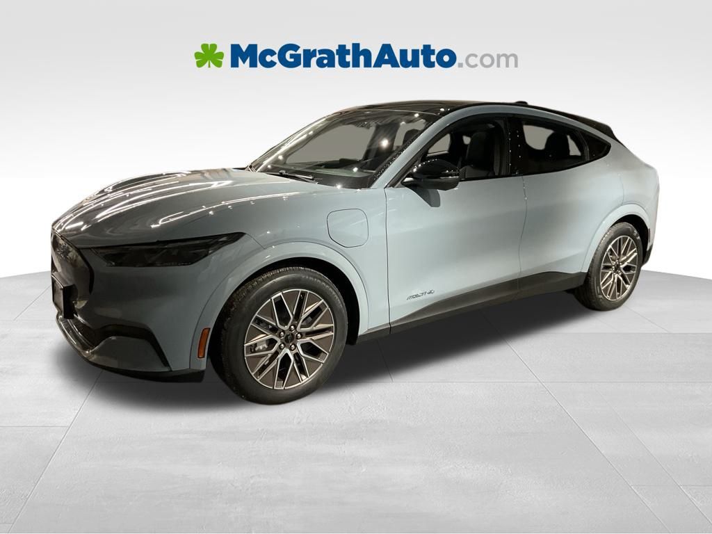 New 2025 Gray Ford Premium image 7