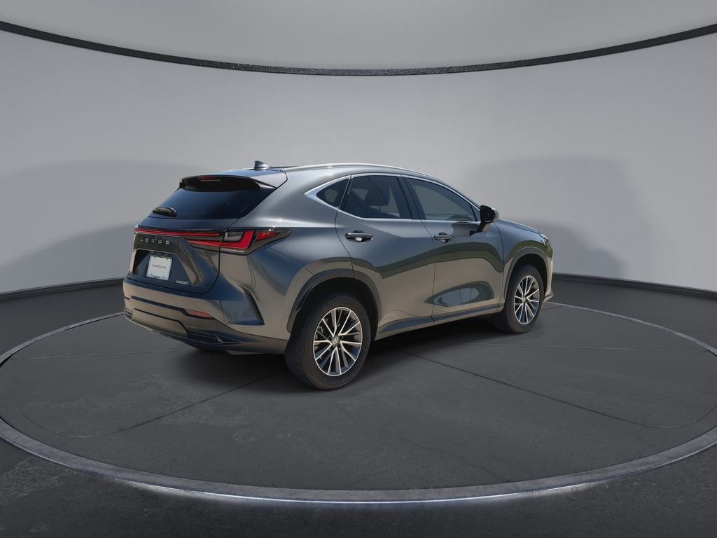 Thumbnail: 2025 Lexus NX - 8