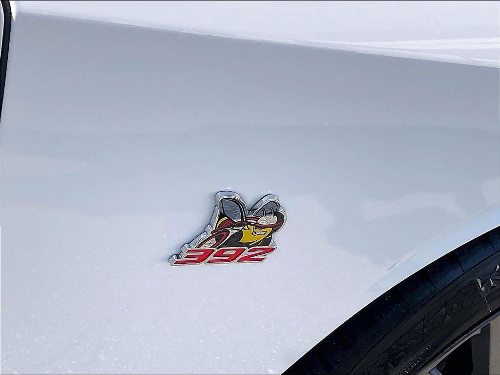 2019 Dodge Challenger — photo 29