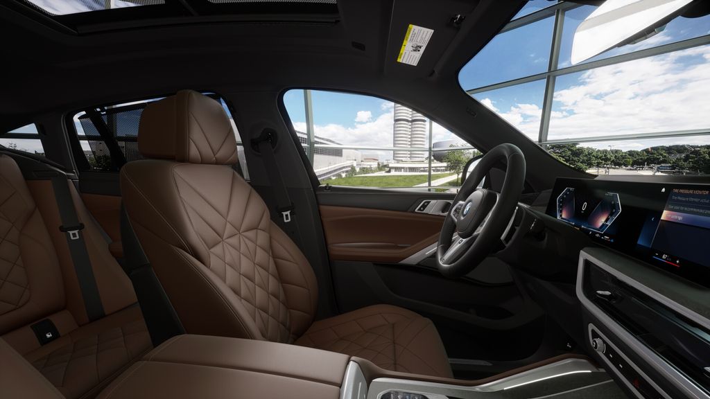 Thumbnail: 2026 BMW X6 - 9