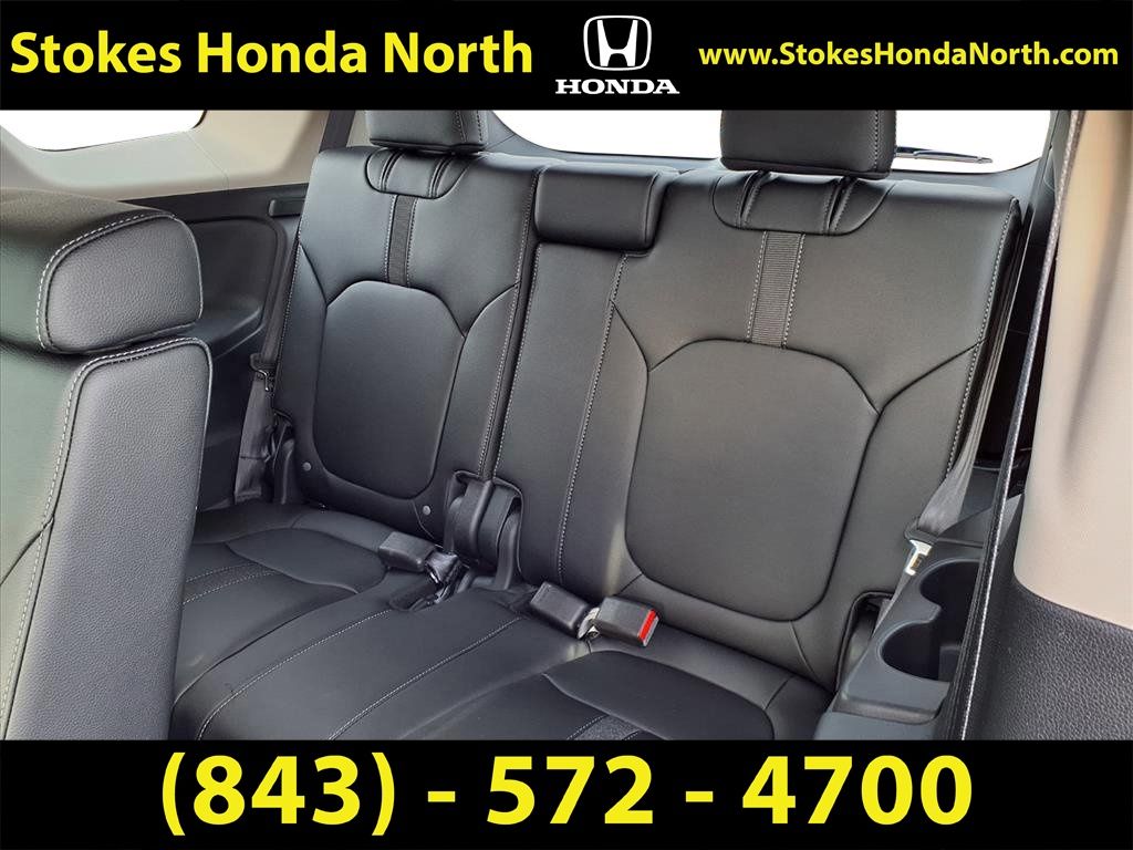 2026 Honda Pilot EX-L Gray at Stokes Honda North