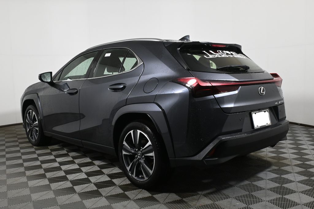 2024 Lexus UX 250h 5