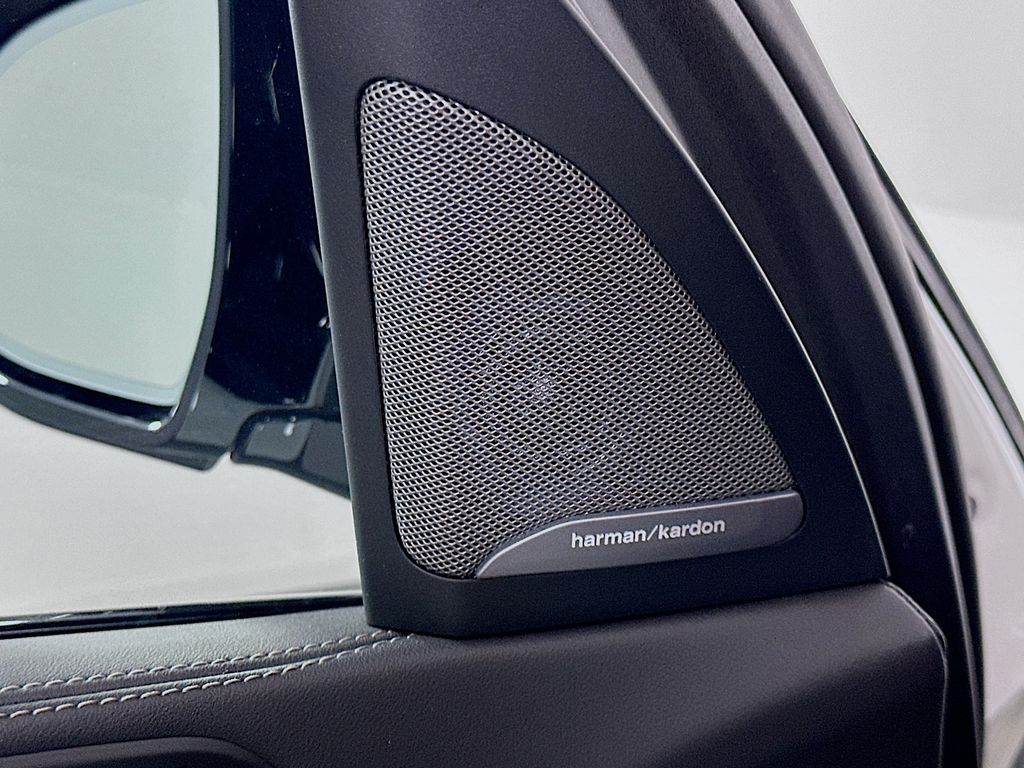 Thumbnail: 2025 BMW X7 - 19