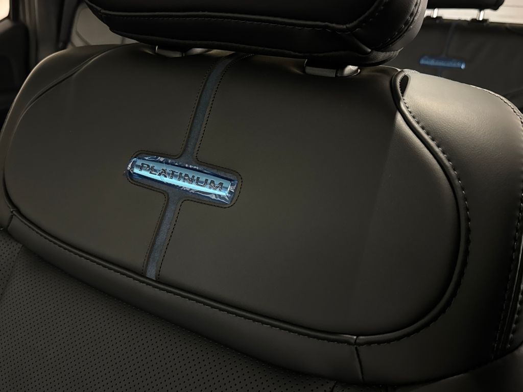 New 2026 Gray Ford Platinum image 23