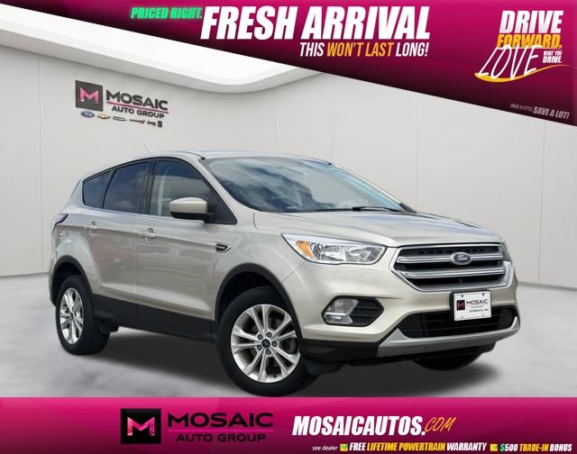 White Gold Metallic 2017 Ford Escape SE FWD SUV / Crossover Front-Wheel Drive 6-Speed Automatic
