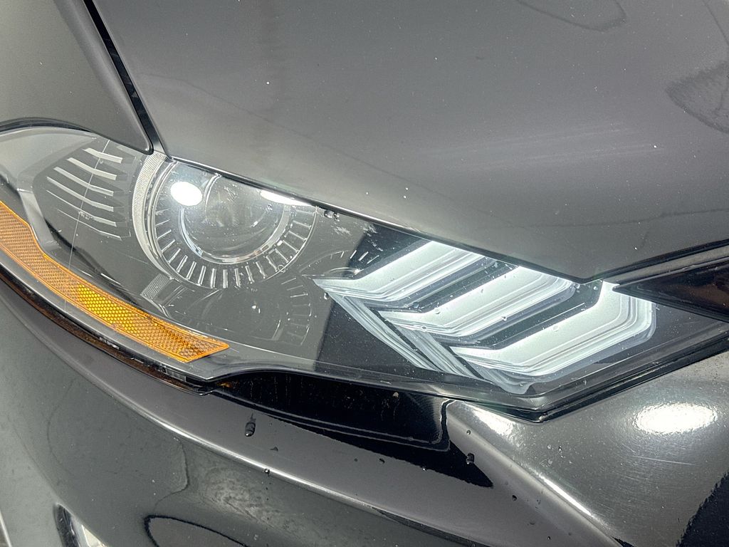 Used Car 2023 Ford Mustang  Ecoboost Premium For Sale Under $20,000 In Austin, Texas