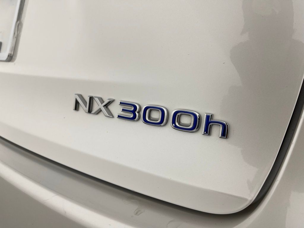 2019 Lexus NX Hybrid 300h 9