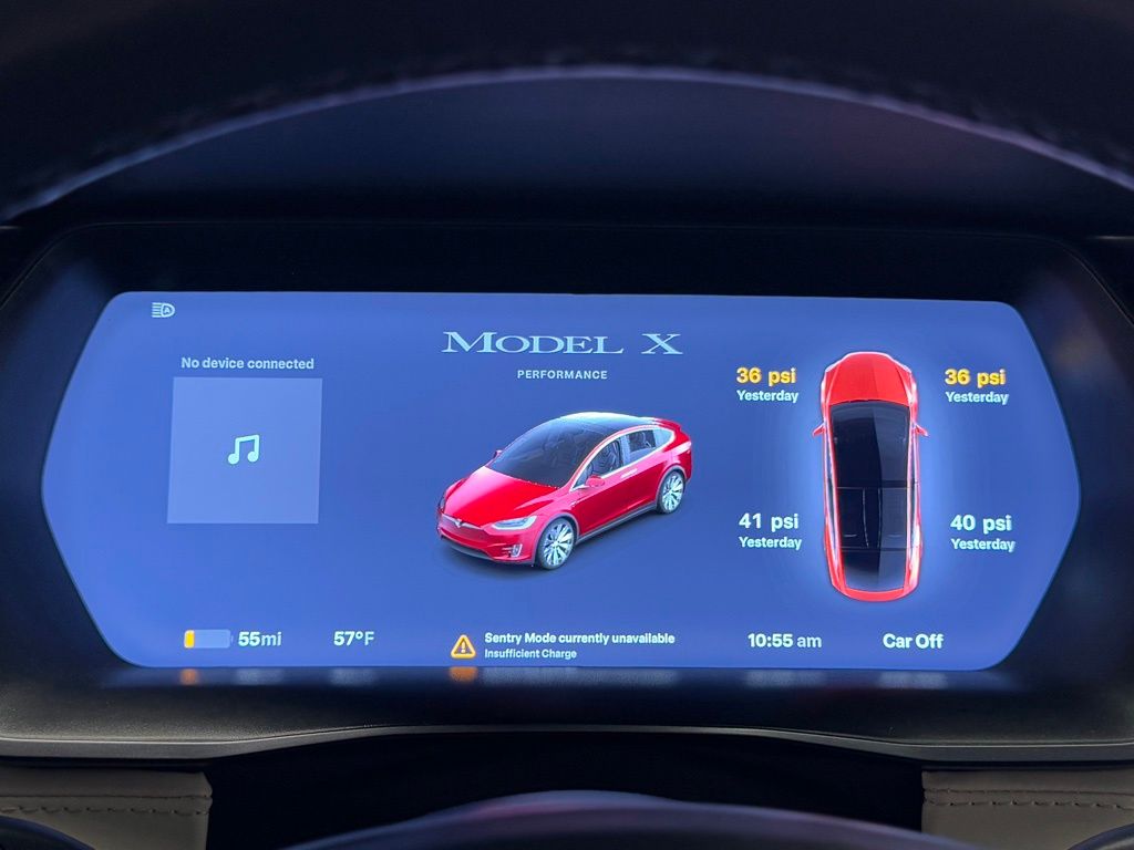 2019 Tesla Model X P100D 21