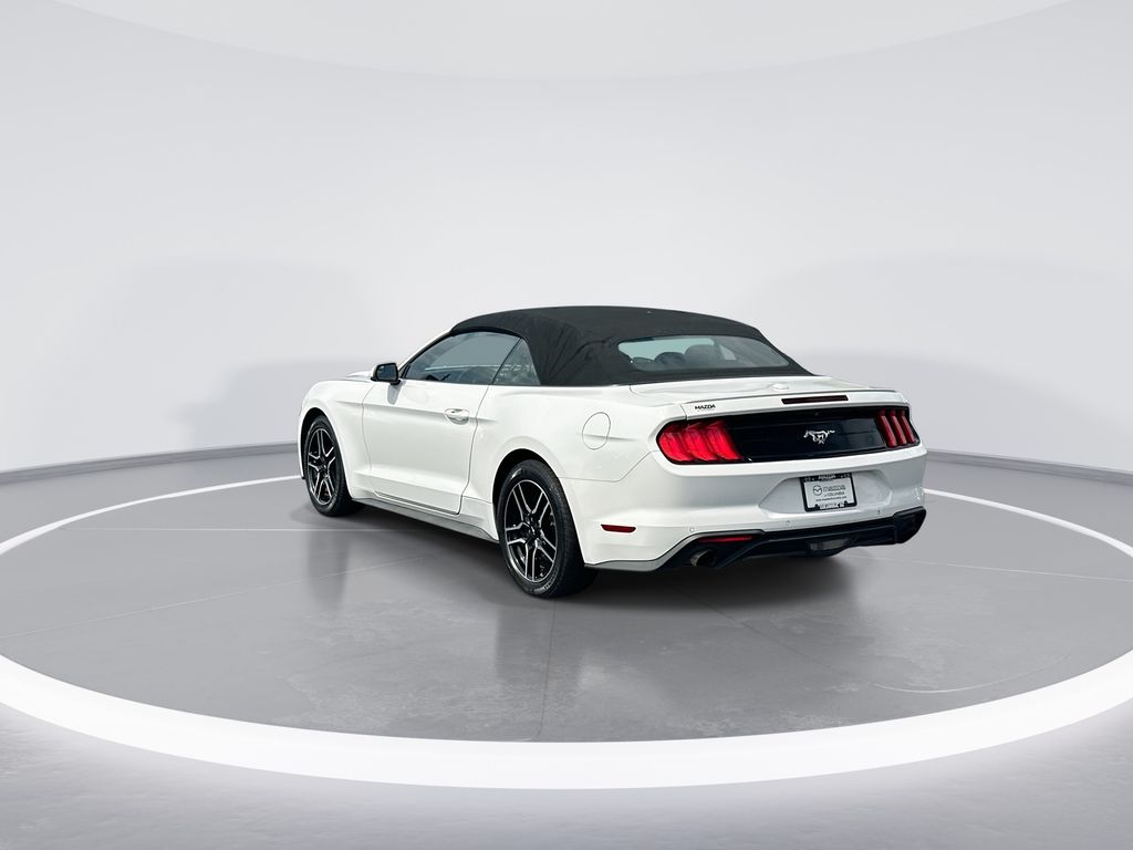 2019 Ford Mustang EcoBoost Premium - 5