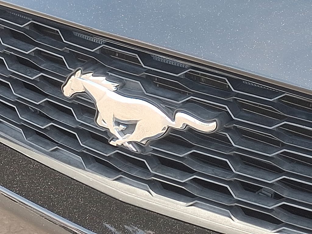 2016 Ford Mustang  29