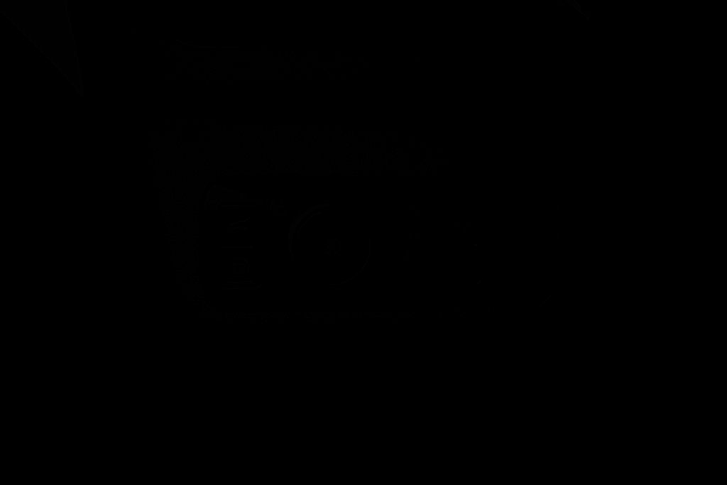 New 2024 Gray Ford Base image 21