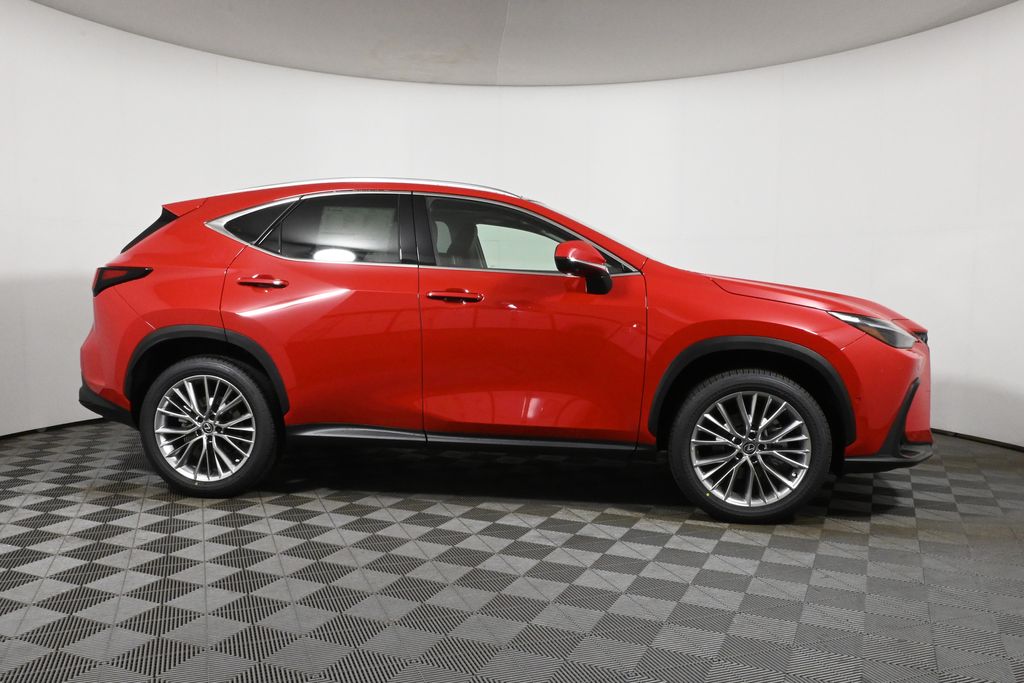 2025 Lexus NX 350 Luxury 8