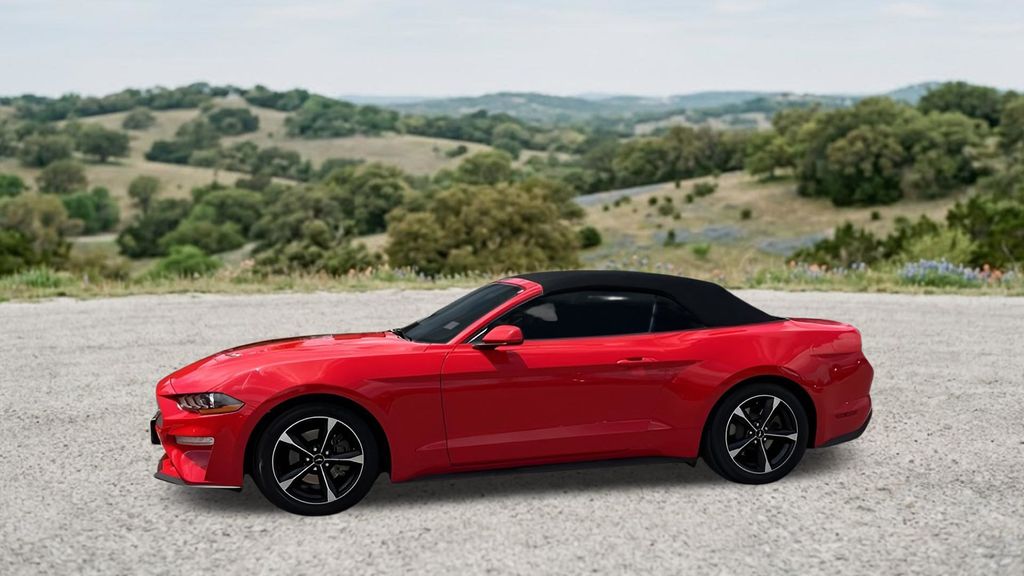 Used Car 2020 Ford Mustang  Ecoboost For Sale Under $25,000 In Austin, Texas