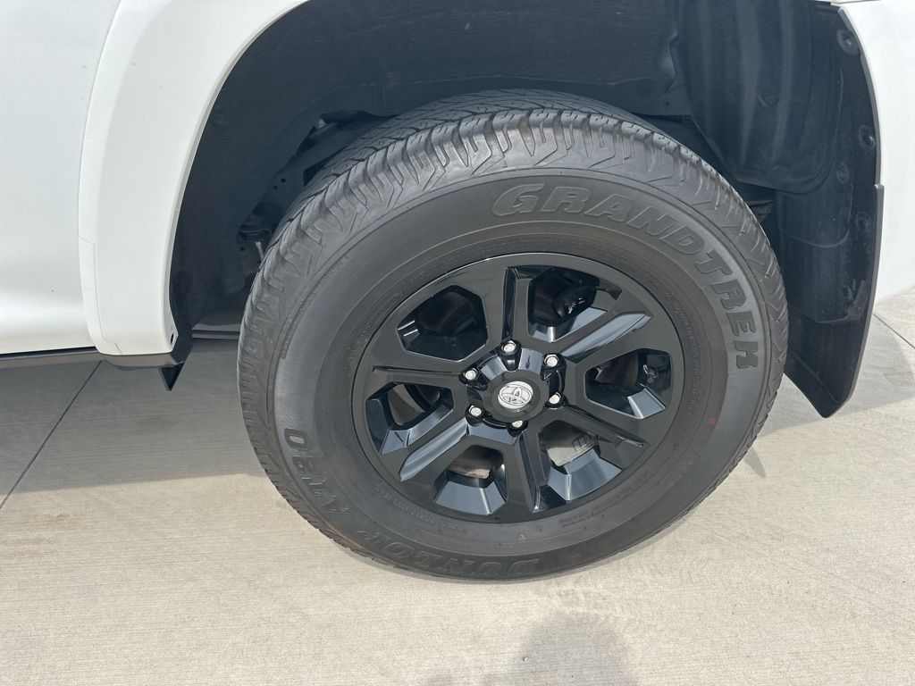2023 Ice Cap Toyota 4Runner SR5 RWD SUV