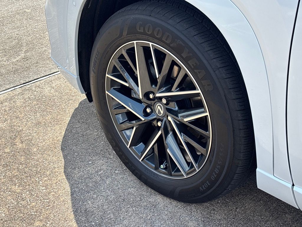2026 Lexus TX 350 Premium Beige at Westside Lexus