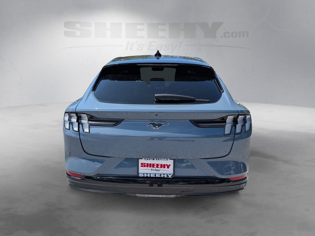 Used 2024 Blue Ford Premium image 12