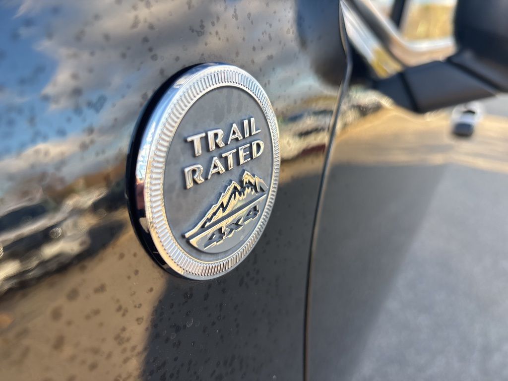 2017 Jeep Renegade Deserthawk 30