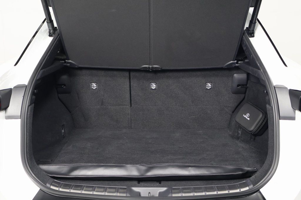 Thumbnail: 2024 Lexus RZ - 13