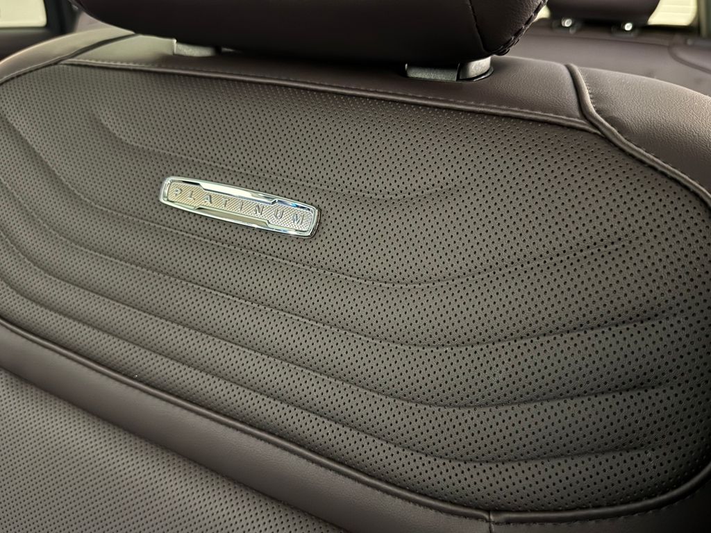 New 2026 Black Ford Platinum image 30