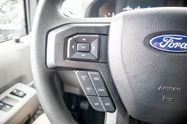 New 2024 White Ford Base image 15