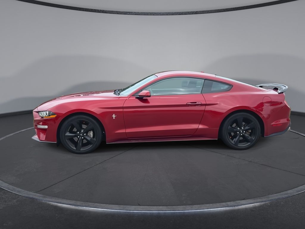 Thumbnail: 2019 Ford Mustang - 5