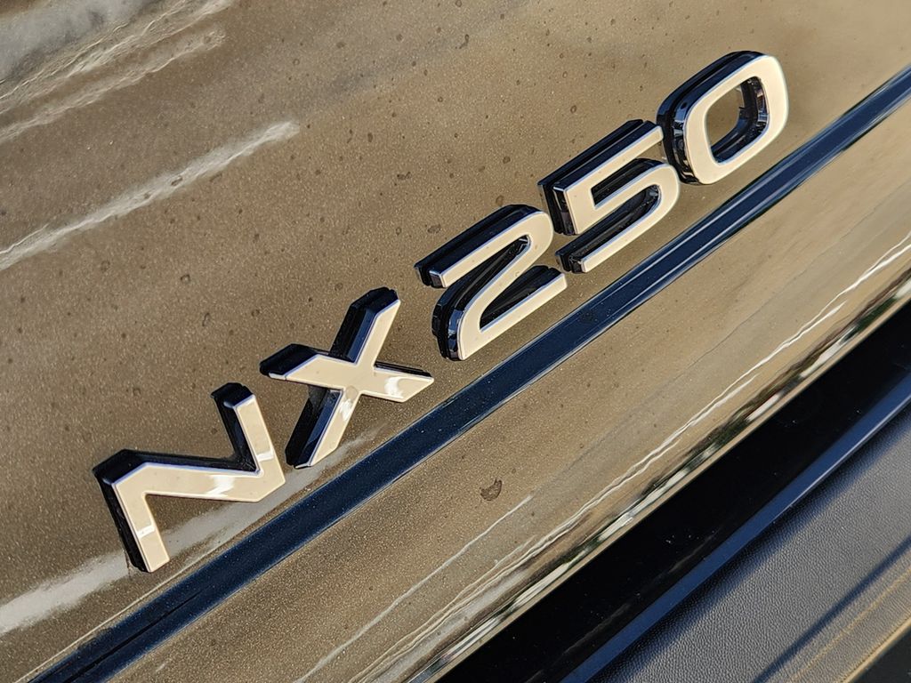 2024 Lexus NX 250 Premium Black at AutoSavvy Houston Northwest