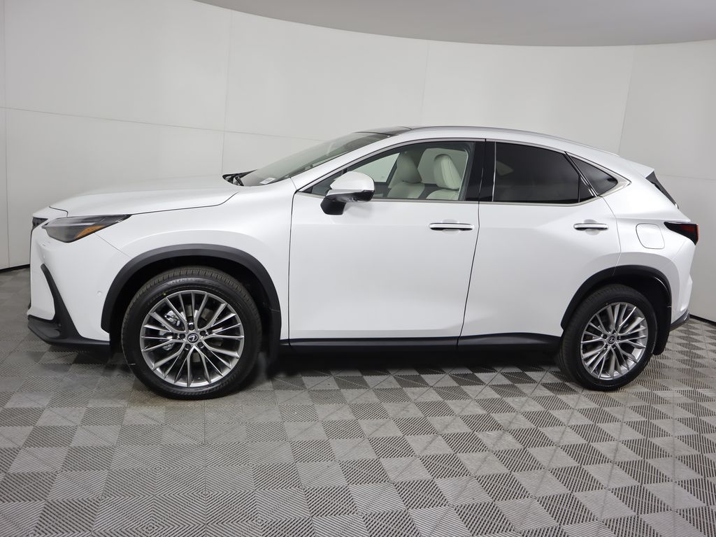 Thumbnail: 2025 Lexus NX - 8